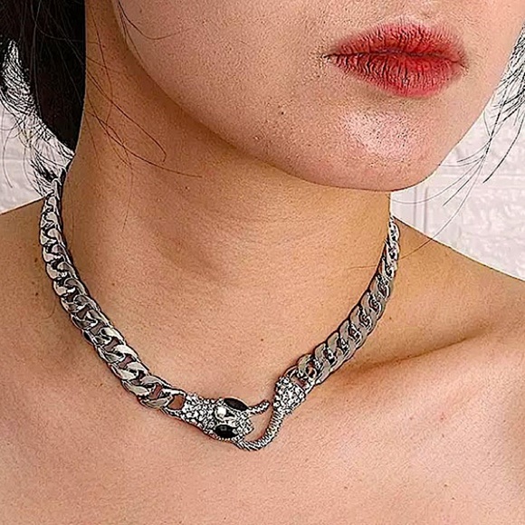 Silver Snake Hook Closure Zircon Choker - Picture 6 of 12